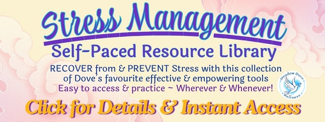 Stress Management Toolkit ~ UPDATED Landing Page Graphic